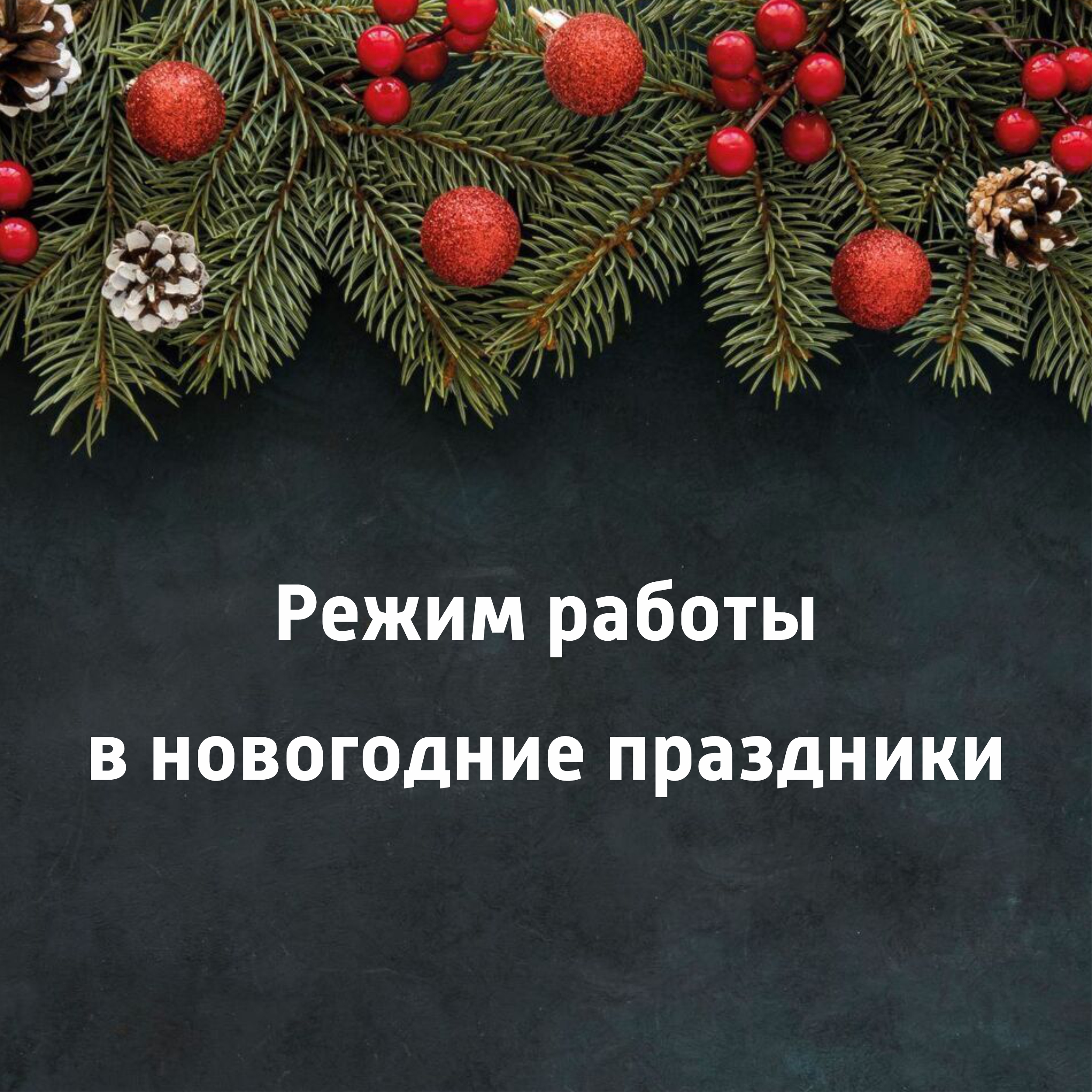 Режим работы Тиролии в новогодние праздники!