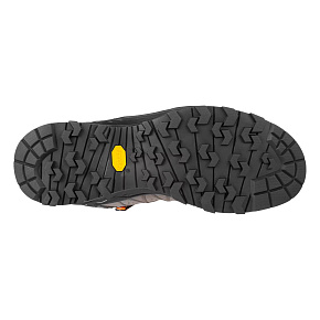 Ботинки треккинговые Salewa: MS Alp Trainer 2 Mid GTX