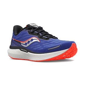 Кроссовки Saucony: Triumph 19 M