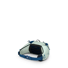 Сумка поясная Osprey: Talon 6