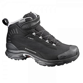 Ботинки зимние Salomon: Deemax TS WP M