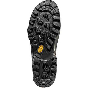 Кроссовки треккинговые LA Sportiva: Tx5 Low Gtx