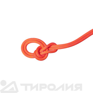Веревка динамическая Mammut: 9.8 Crag Dry Rope 50м 