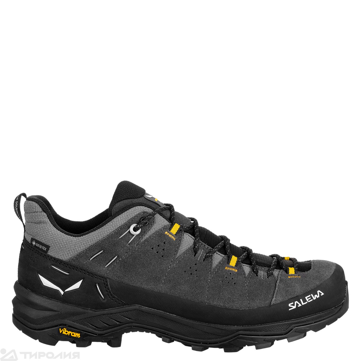 Кроссовки Salewa: Alp Trainer 2 GTX M