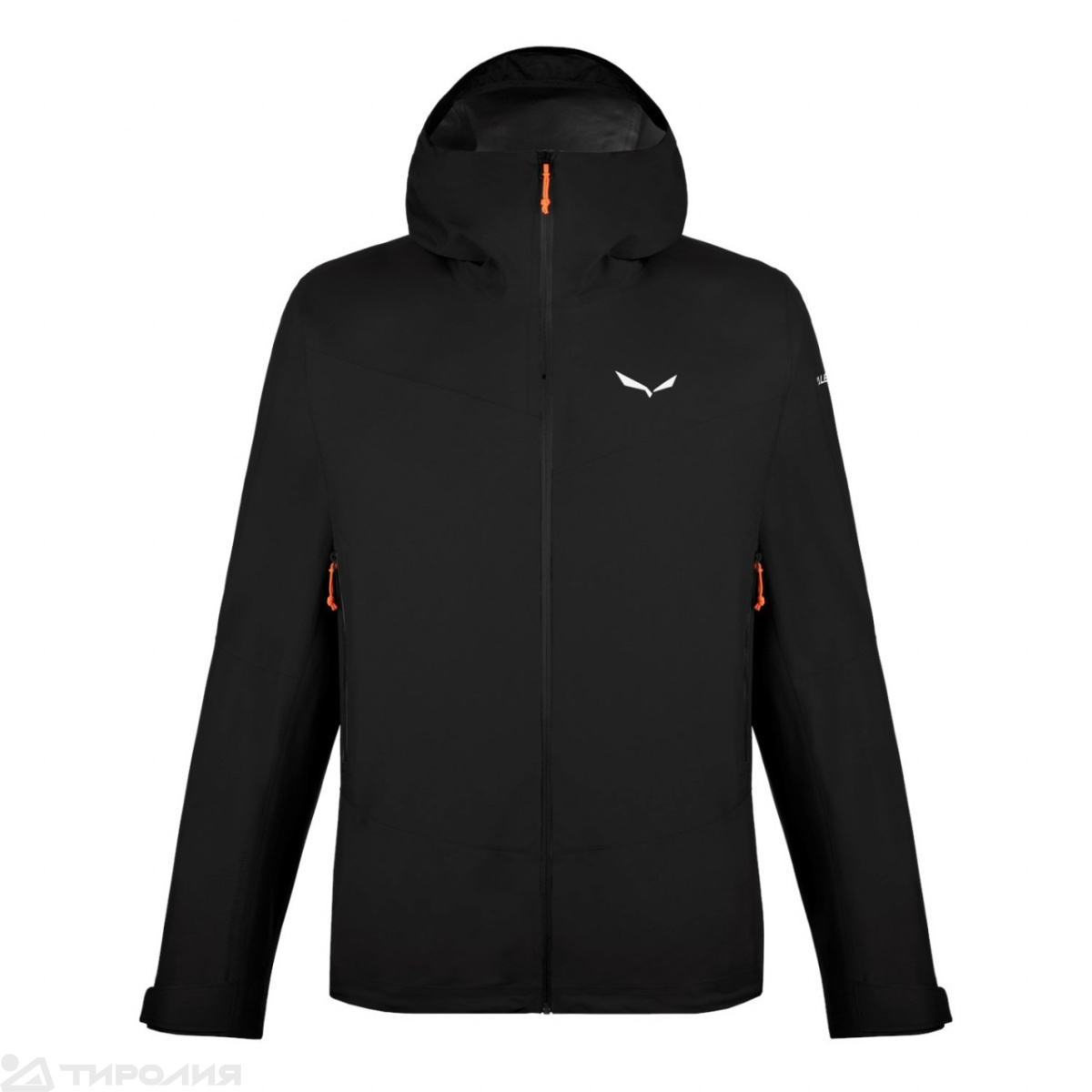 Куртка Salewa: Puez Gtx-Pac M Jacket