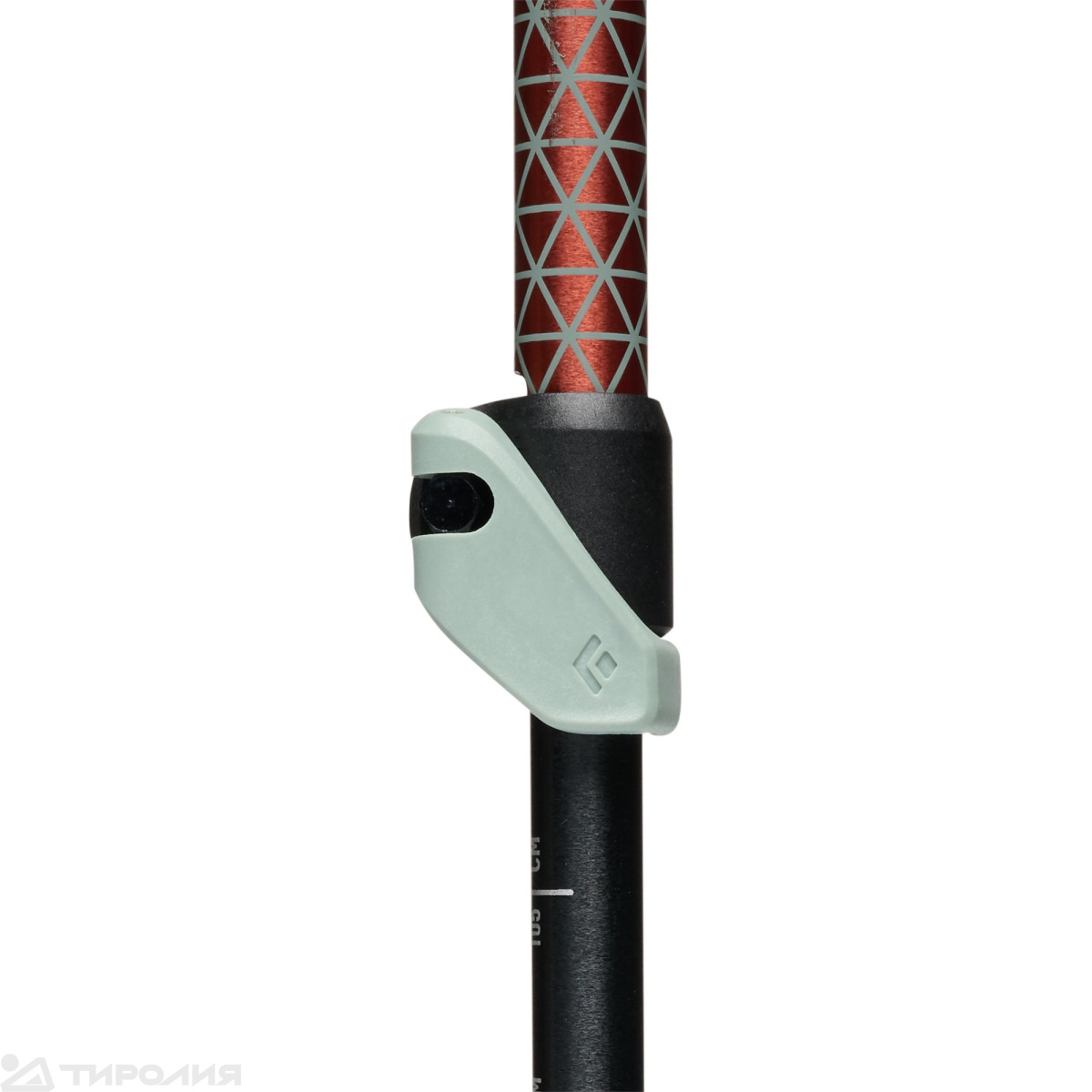 Палки треккинговые Black Diamond: Trail Trekking Poles
