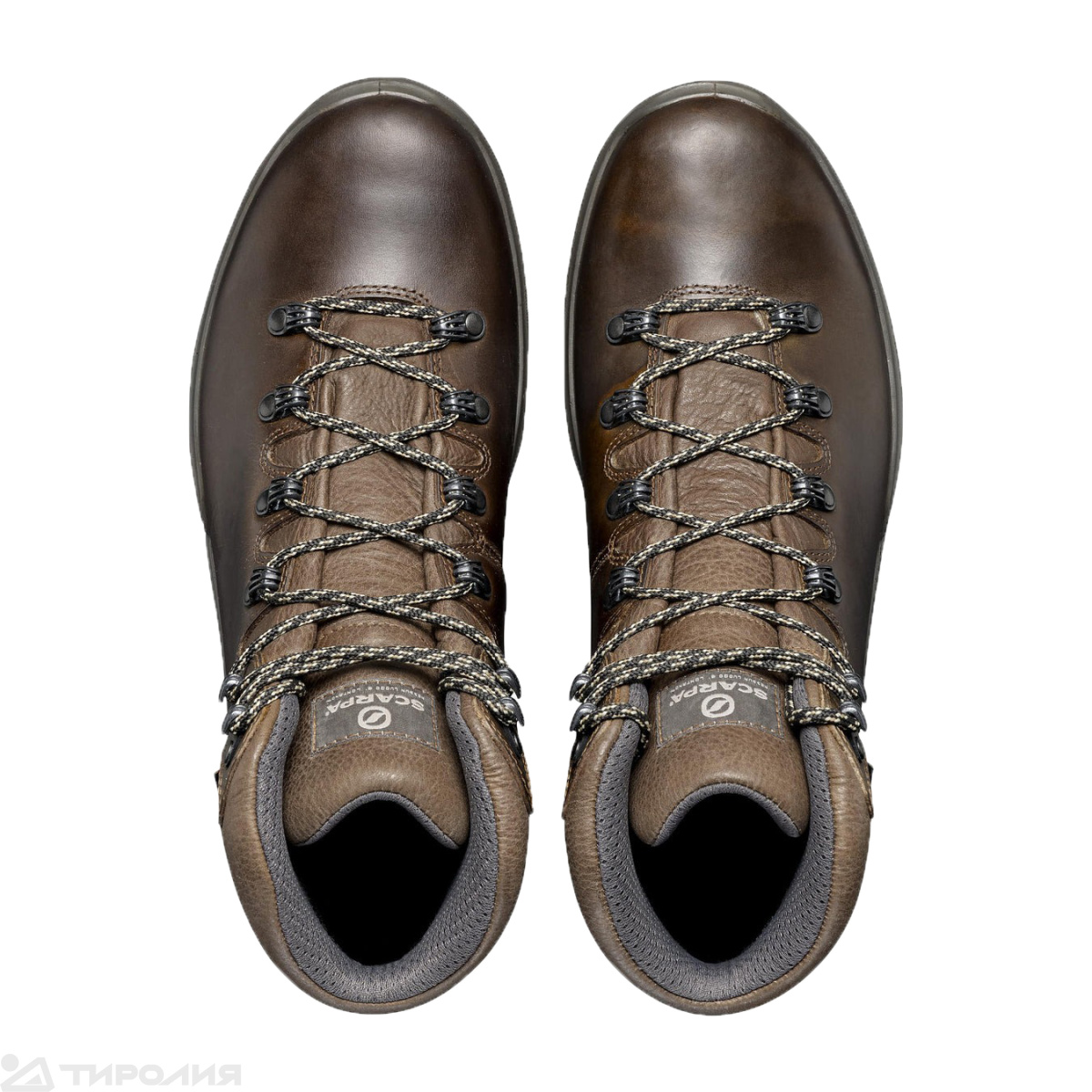 Ботинки треккинговые Scarpa: Terra GTX