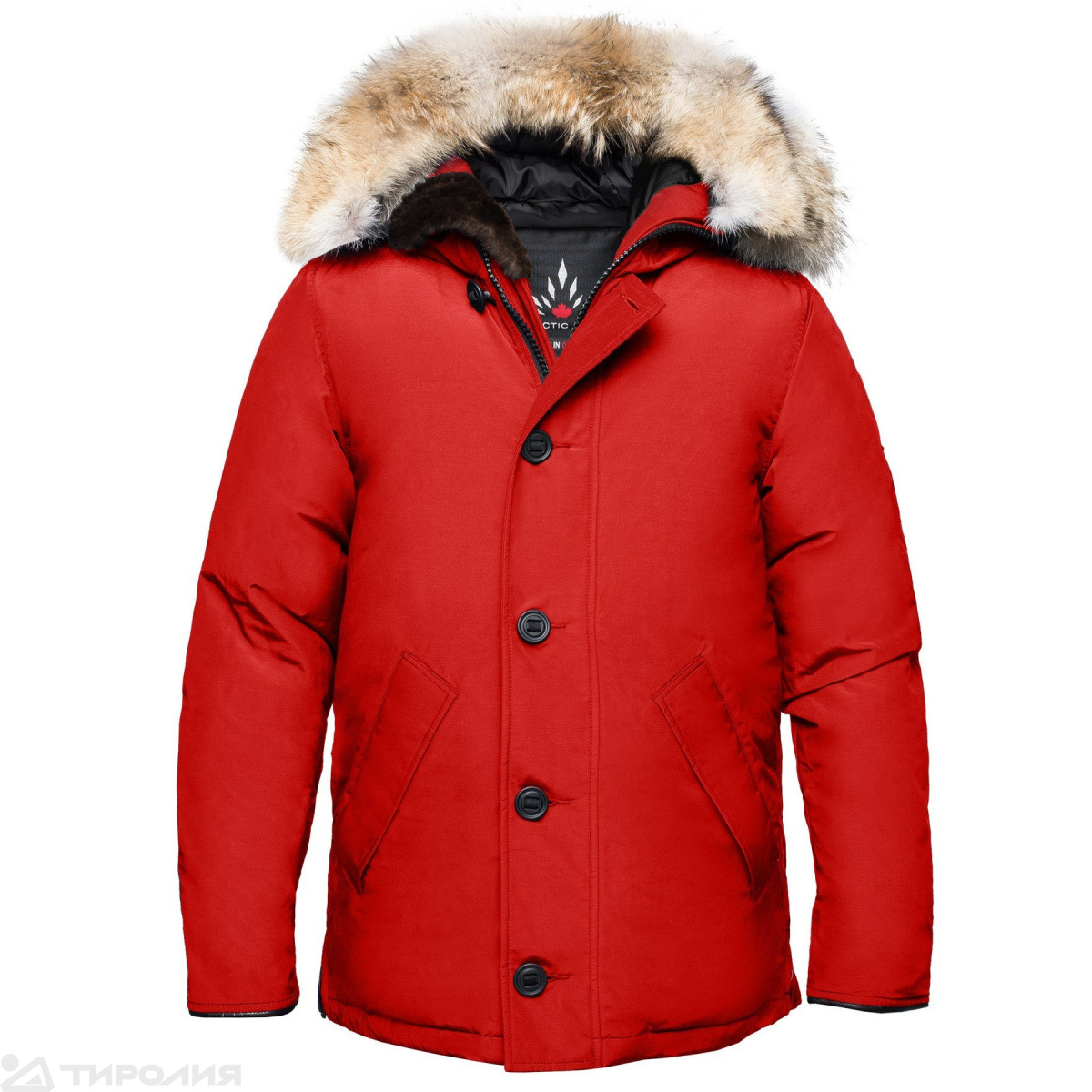 Куртка пуховая: Arctic Bay Toronto