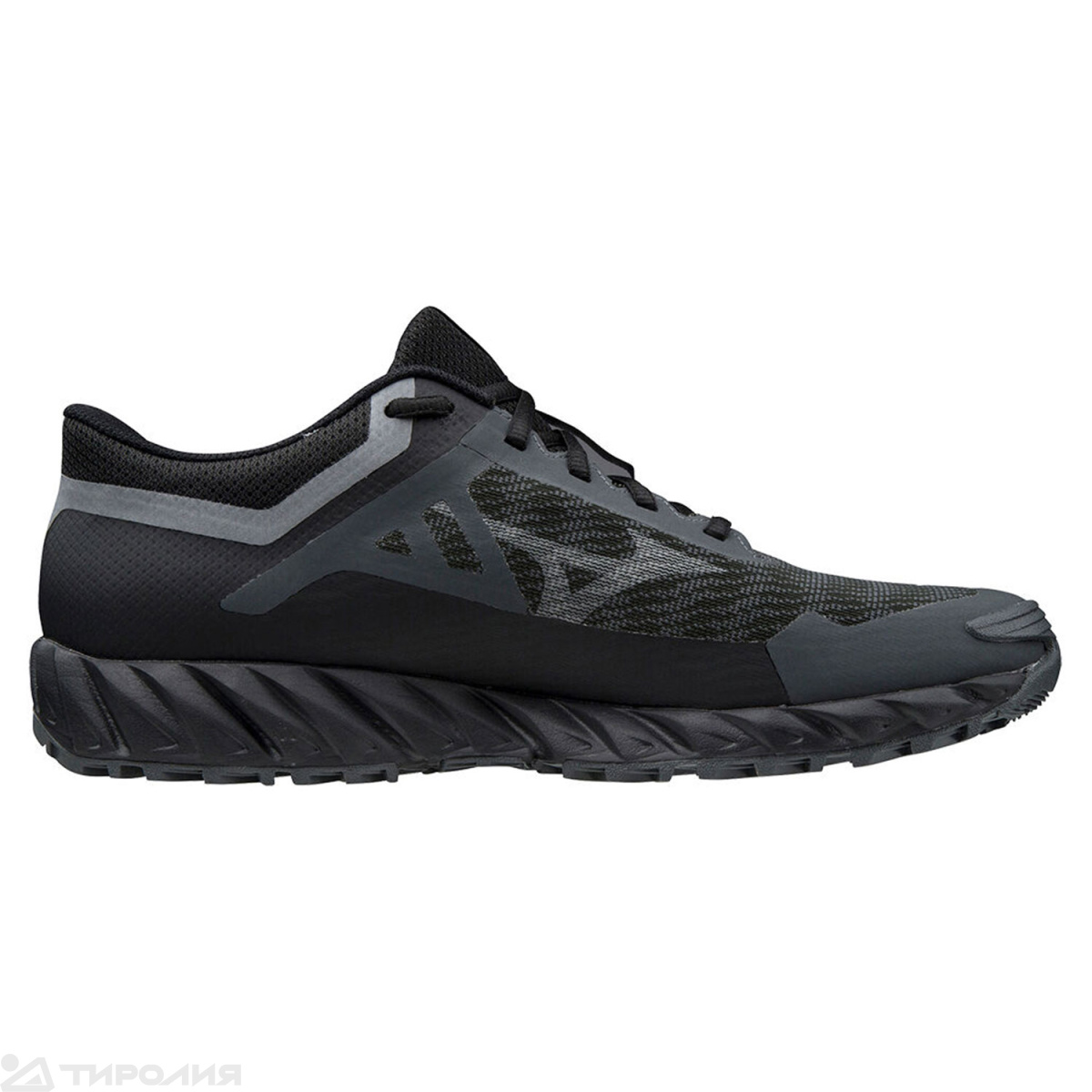 Кроссовки женские Mizuno: Wave Ibuki 3 GTX 