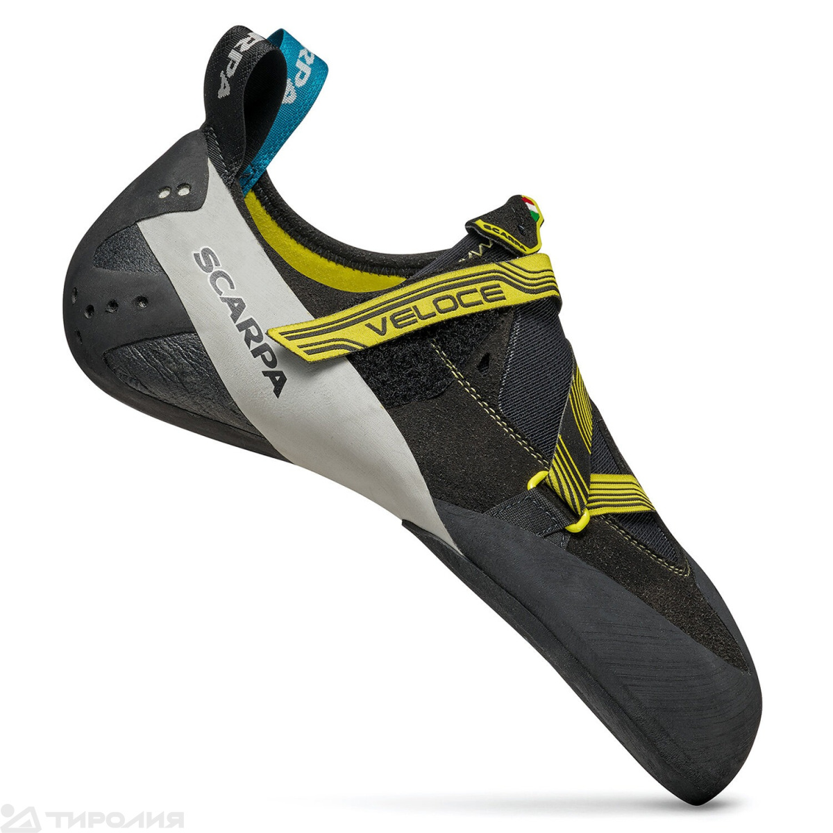 Скальные туфли Scarpa: Veloce