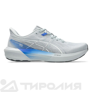 Кроссовки Asics: GT-1000 15