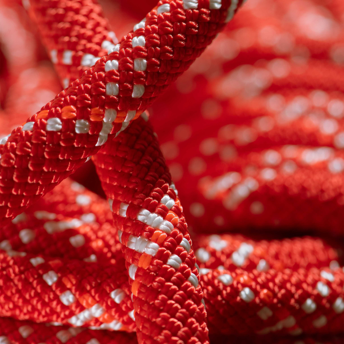 Веревка динамическая Mammut: 9.5 Gym Classic Rope 50м 