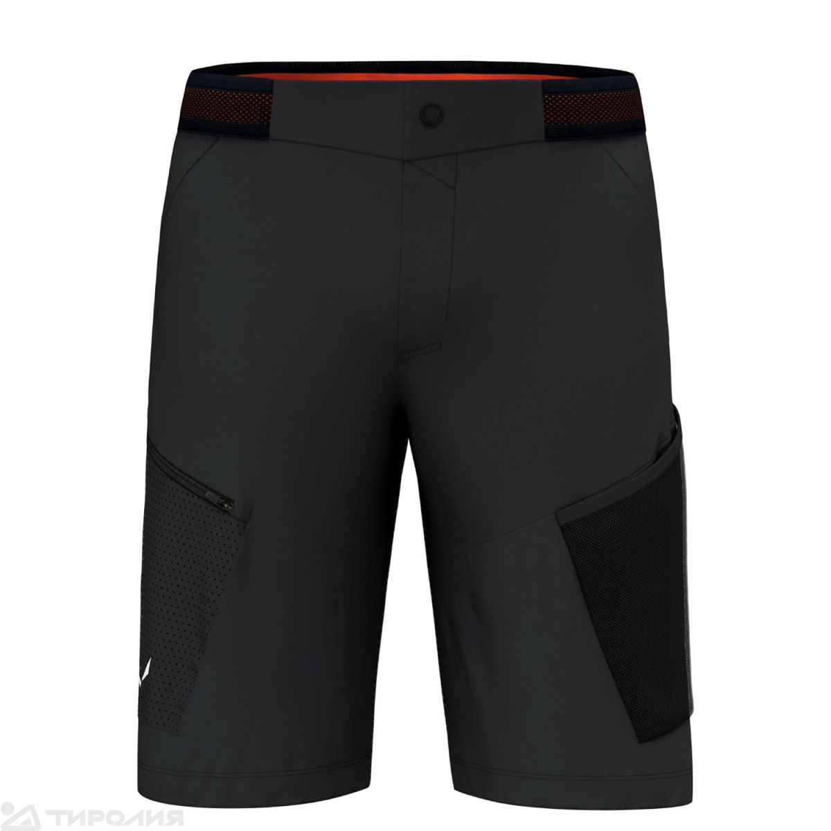 Шорты Salewa: Pedroc 3 Dst M Cargo Shorts
