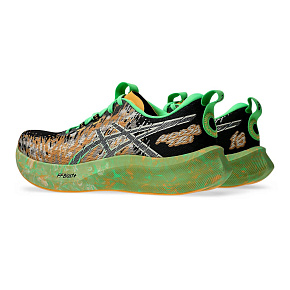 Кроссовки Asics: Noosa TRI 16