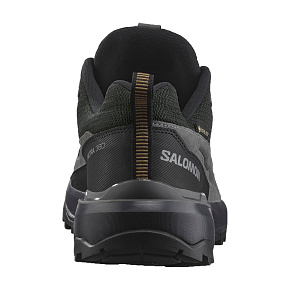 Кроссовки Salomon: X Ultra 360 LTR GTX