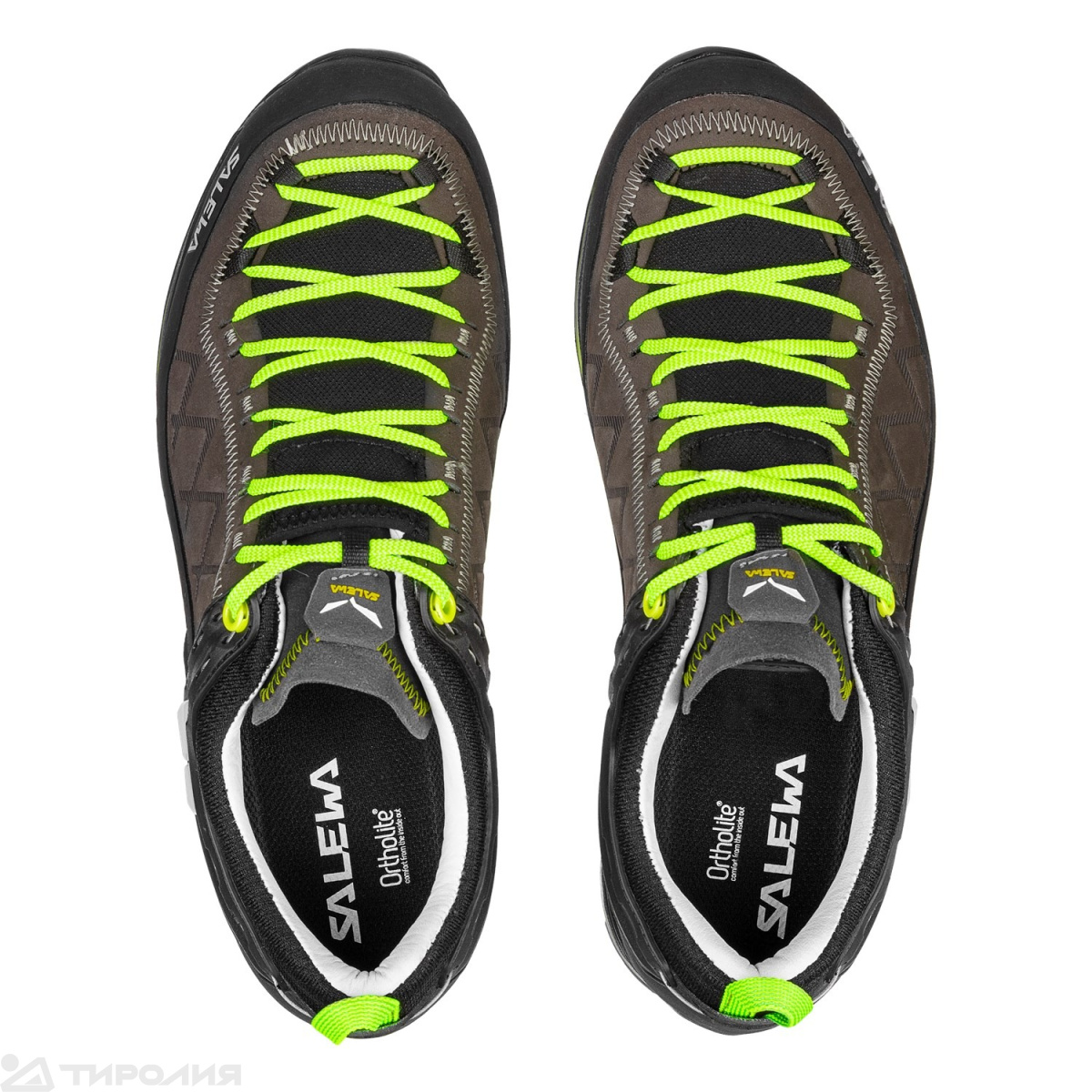Кроссовки Salewa: MS MTN Trainer 2 L