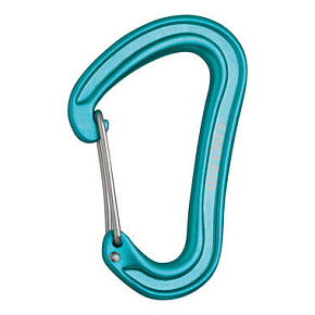 Карабин EDELRID: Nineteen G Icemint