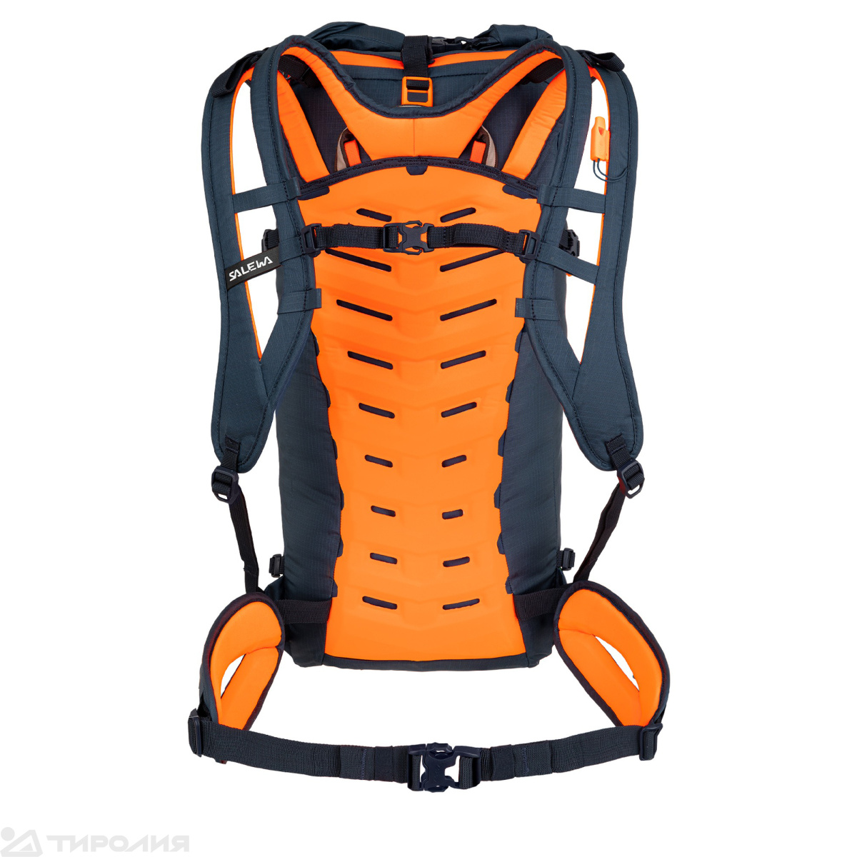 Рюкзак Salewa: Ortles Wall 38