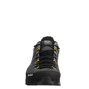 Кроссовки Salewa: Alp Trainer 2 GTX M