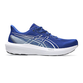 Кроссовки Asics: GT-1000 15