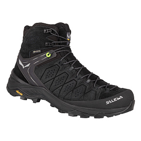 Ботинки треккинговые Salewa: Alp Trainer 2 Mid GTX