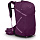 Рюкзак Osprey: Sportlite 25 — Aubergine Purple