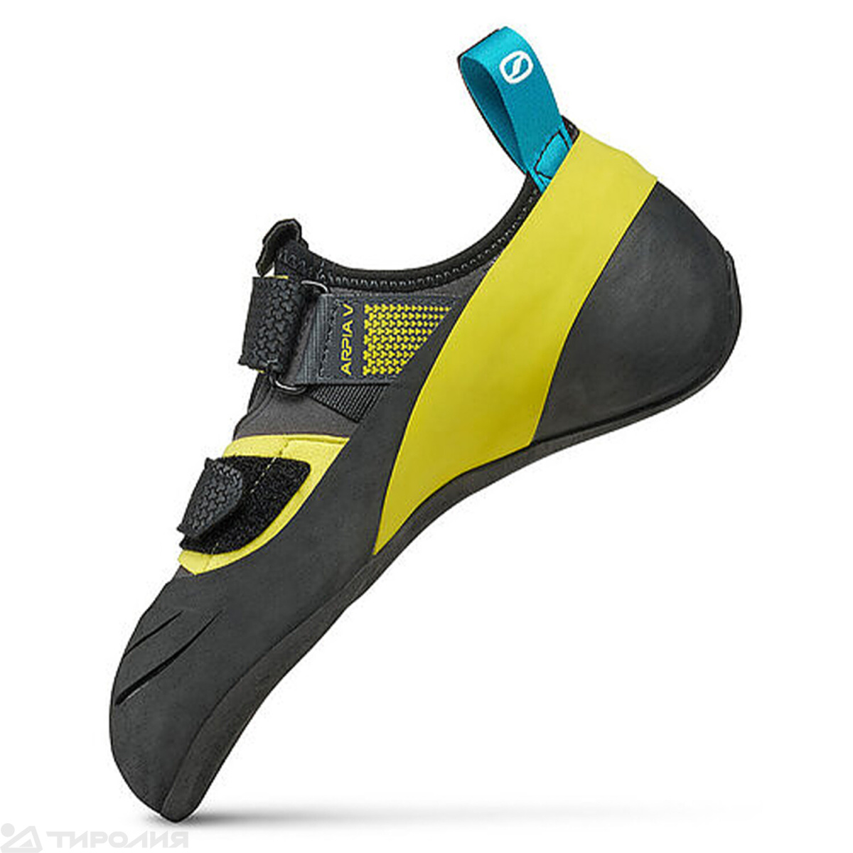 Скальные туфли Scarpa: Arpia V