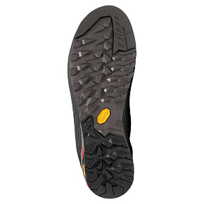 Ботинки треккинговые Asolo: Eldo Evo Mid LTH GV MM