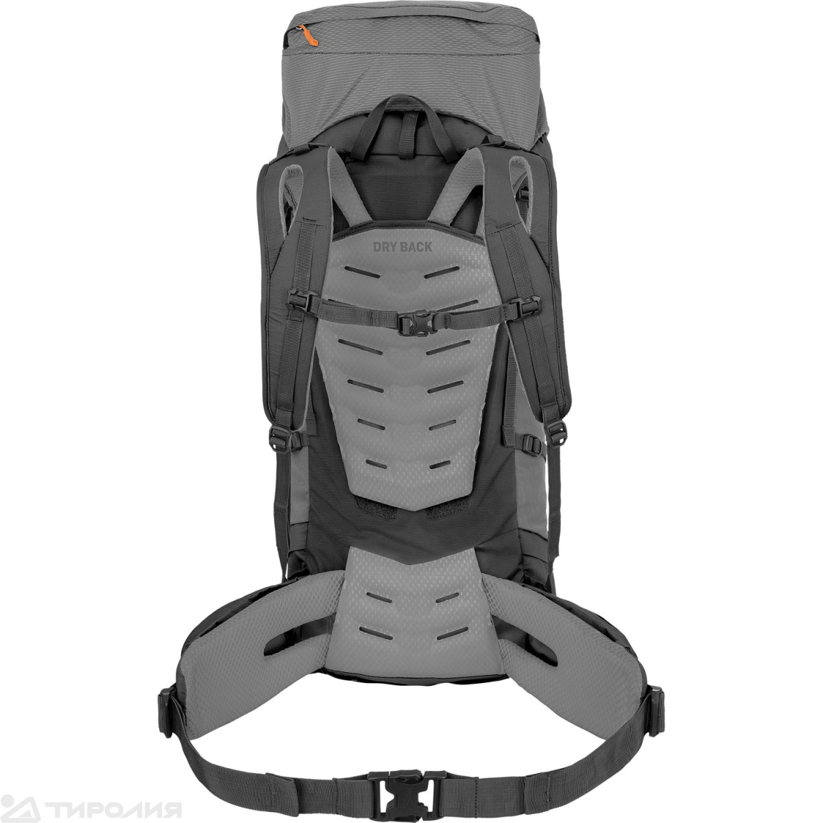 Рюкзак Salewa: Alptrek 65 +10 Pro Bp