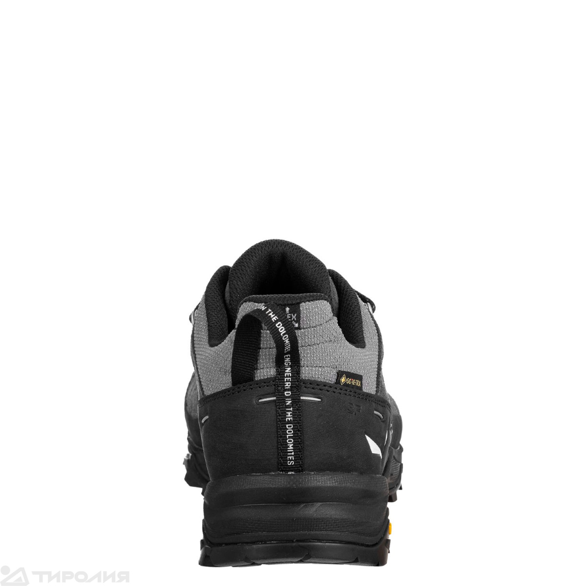 Кроссовки Salewa: Alp Trainer 2 GTX M