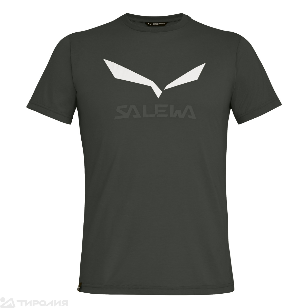Футболка Salewa: Solid Logo Dry M T-Shirt