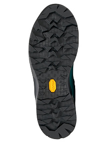 Ботинки треккинговые Asolo: Greenwood Pro Bunion GV ML