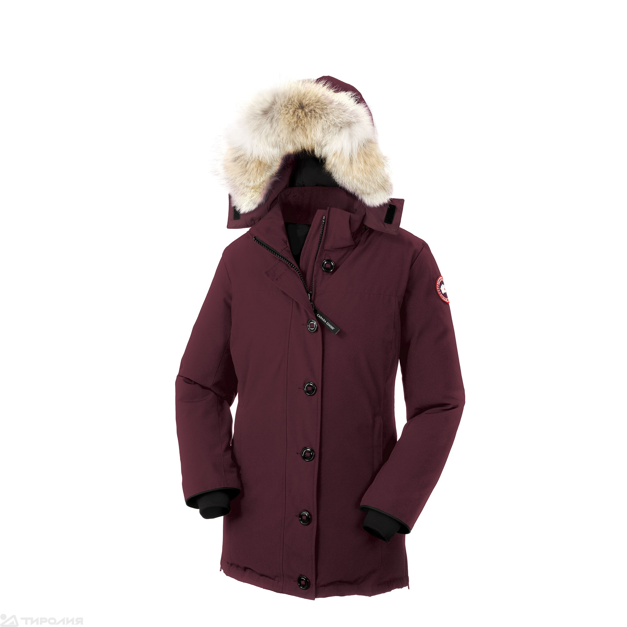 Canada goose dawson parka hotsell