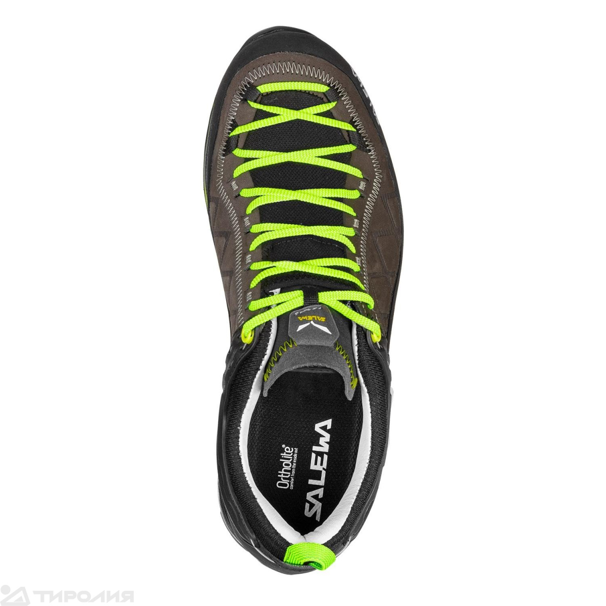 Кроссовки Salewa: MS MTN Trainer 2 L