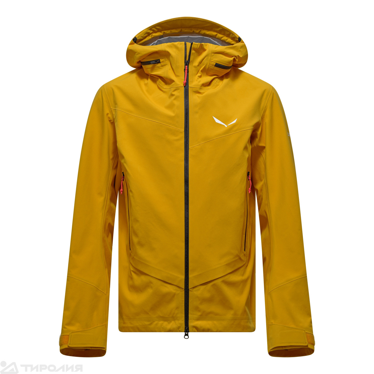 Куртка Salewa: Ortles 3L Epe GTX M Jacket