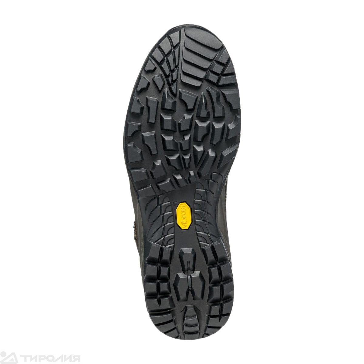 Ботинки треккинговые Scarpa: Terra GTX