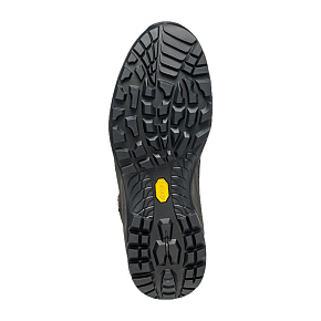 Ботинки треккинговые Scarpa: Terra GTX