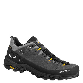 Кроссовки Salewa: Alp Trainer 2 GTX M