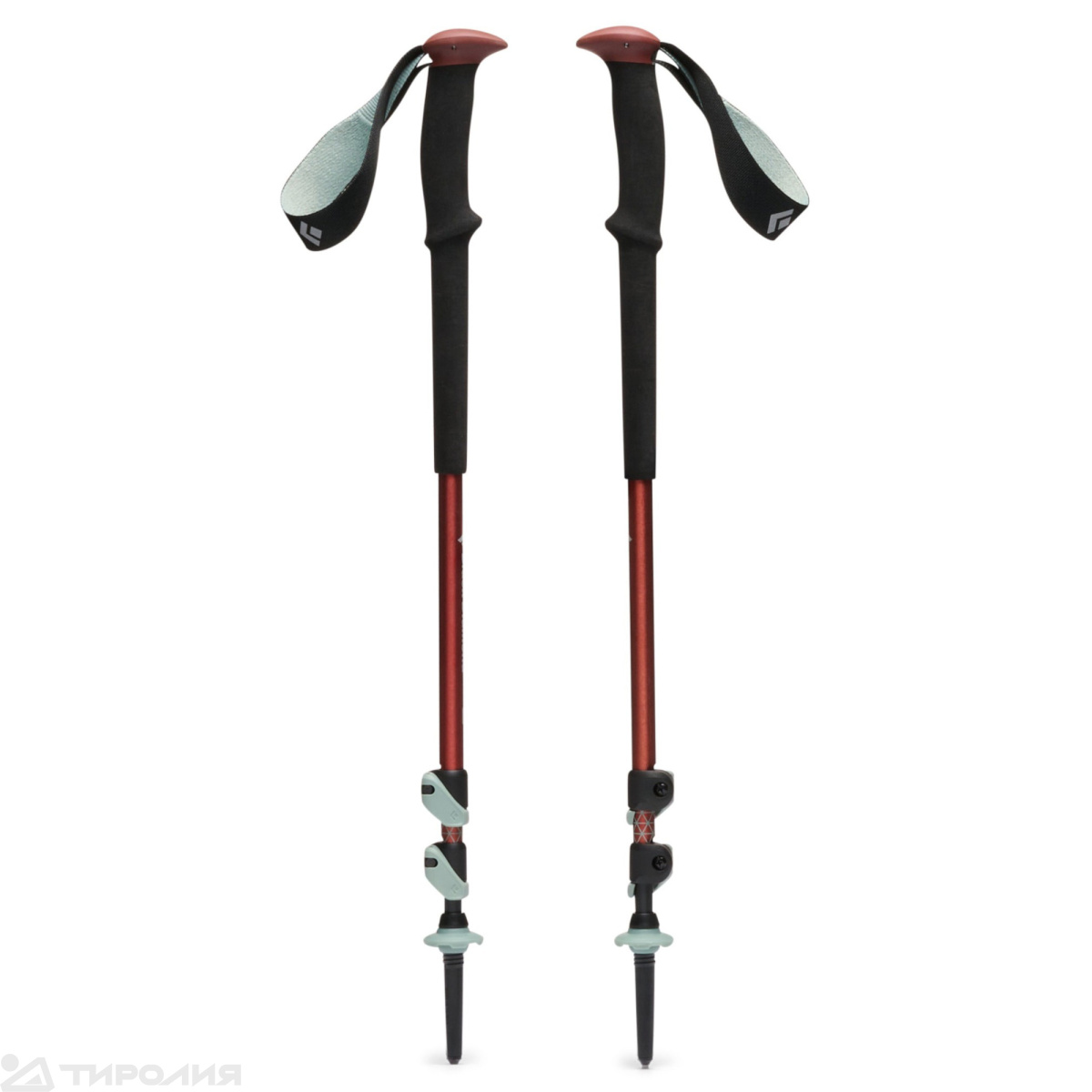Палки треккинговые Black Diamond: Trail Trekking Poles