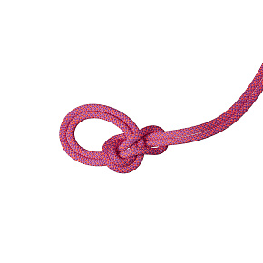 Веревка динамическая mammut: 9.5 Crag Dry Rope Duodess 60м 