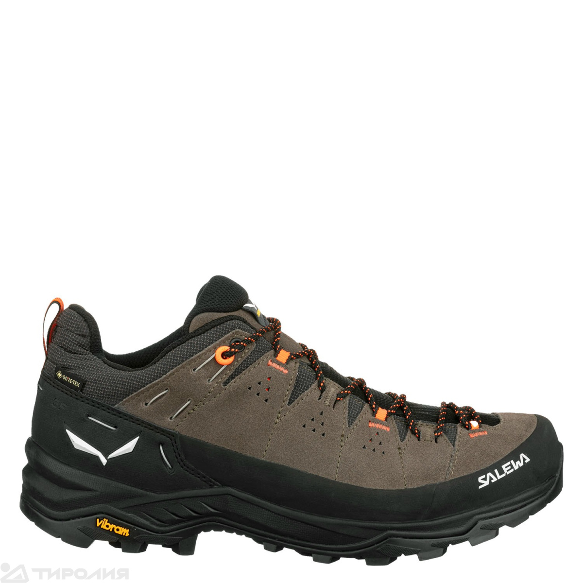 Кроссовки треккинговые Salewa: Alp Trainer 2 M 
