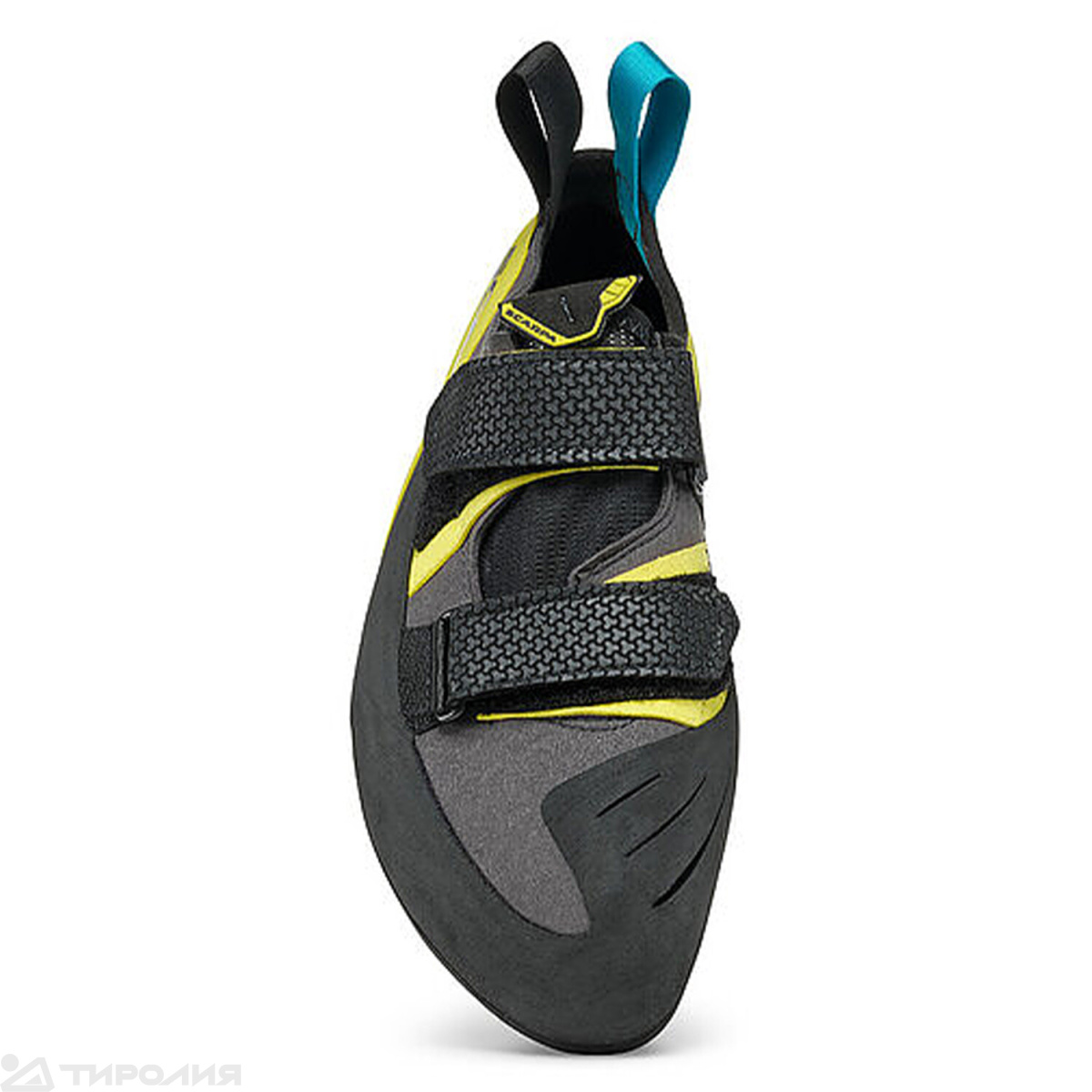 Скальные туфли Scarpa: Arpia V