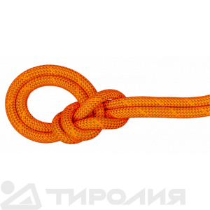 Веревка динамическая Mammut: 9.8 Crag Dry Rope 50м 