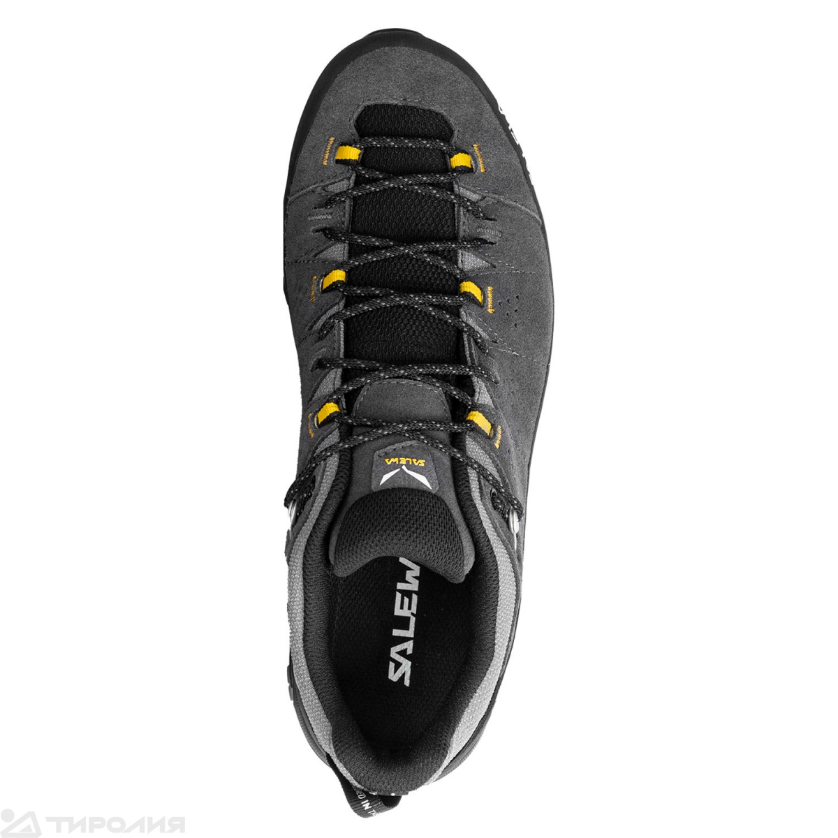 Кроссовки Salewa: Alp Trainer 2 GTX M