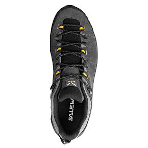 Кроссовки Salewa: Alp Trainer 2 GTX M