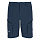 Шорты Salewa: Pedroc 4 Dst M Cargo Shorts — Blueberry/0910