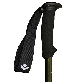 Палки треккинговые Black Diamond: Explorer 3 Trekking Poles
