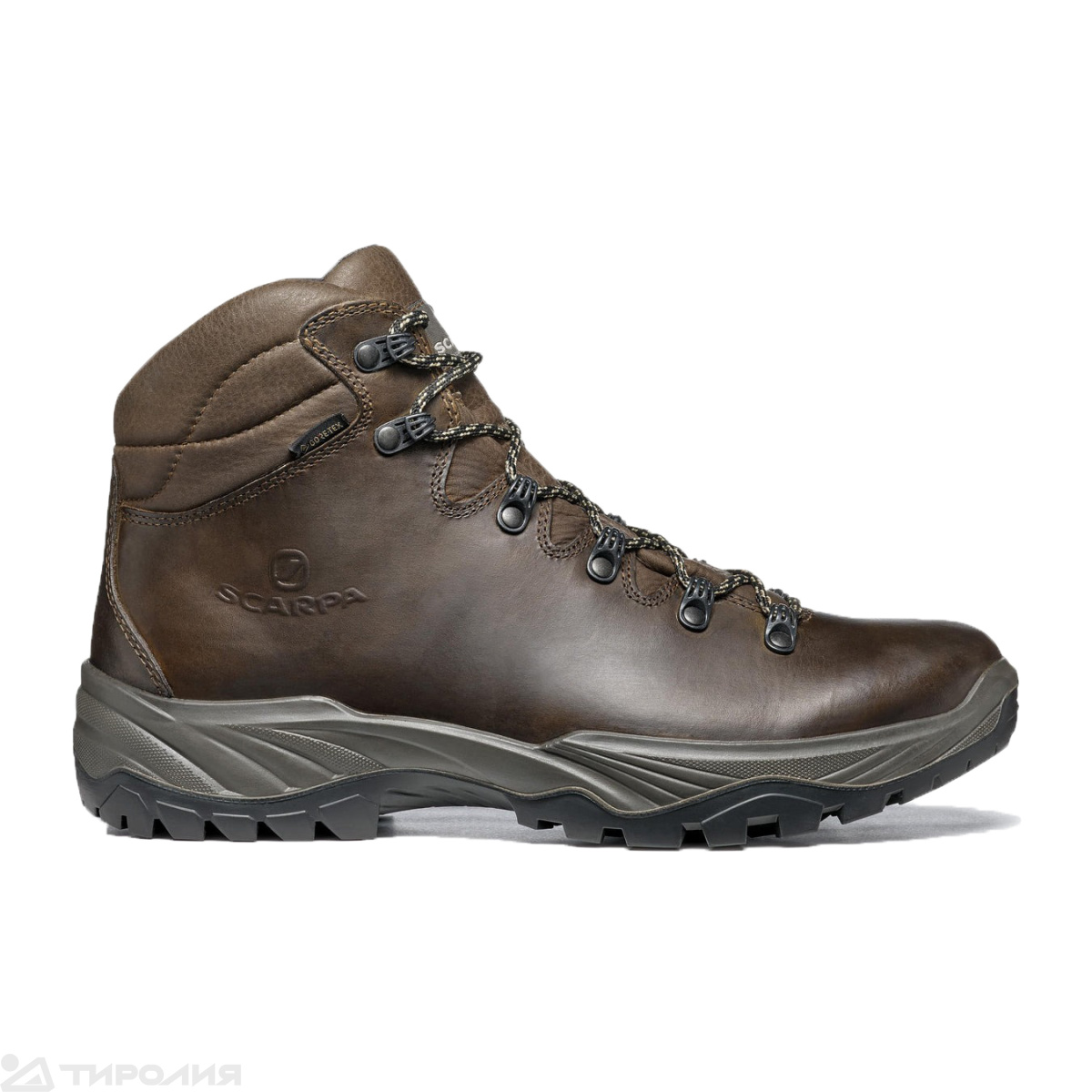 Ботинки треккинговые Scarpa: Terra GTX