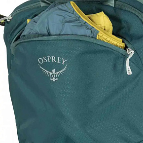 Рюкзак Osprey: Poco LT Child Carrier